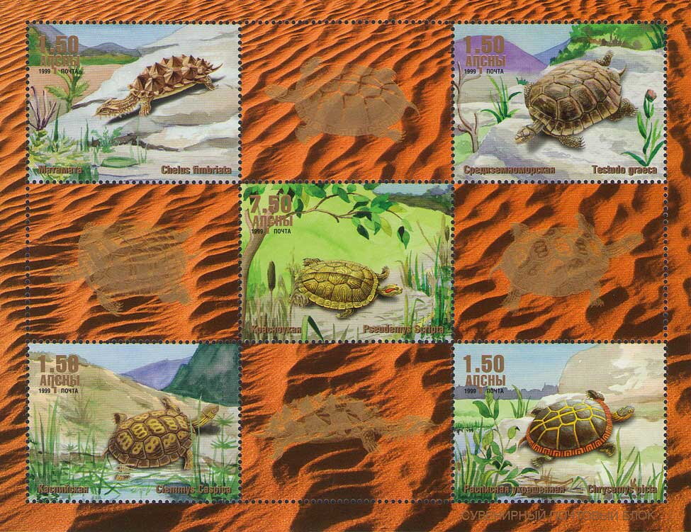 Turtles