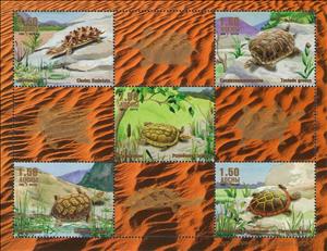 Mini Sheet, Turtles, Abkhazia,  , Animals (Fauna), Reptiles, Sea Life, Turtles