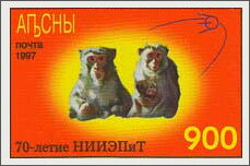 Two Monkeys and First Satellite