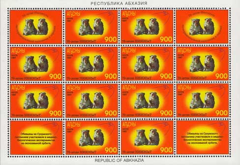 Two Monkeys and First Satellite