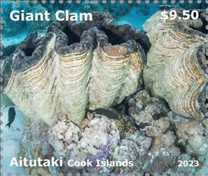 Stamp, Giant Clam (Tridacna sp), Aitutaki,  , Molluscs