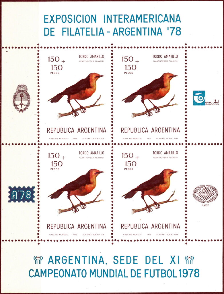 Saffron-crowled Blackbird (Xanthopsar flavus)