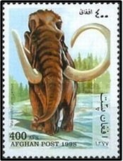 Mammuthus primigenius
