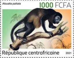 Alouatta palliata
