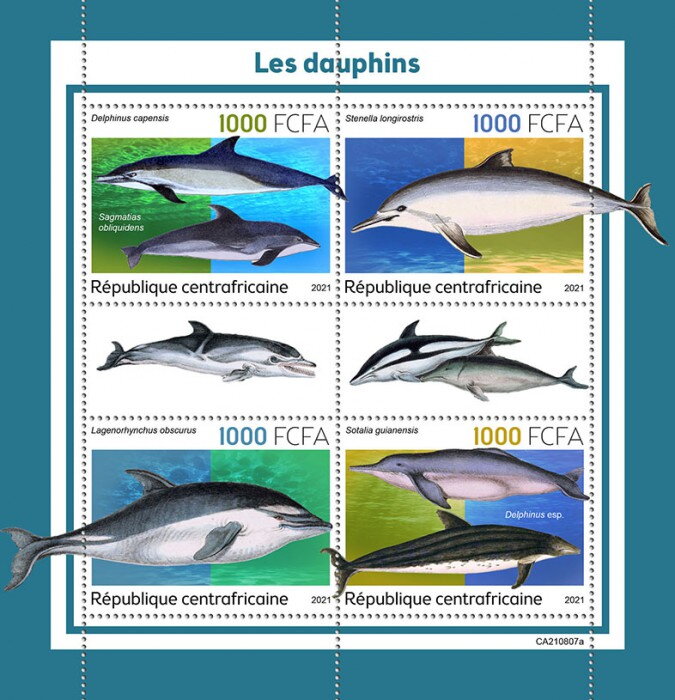 Dolphins