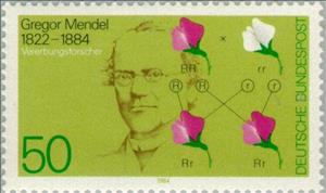 Stamp, Mendel, Gregor Johann, Germany, Federal Republic,  , Famous People, Commemoration, Healthcare, Medical Science