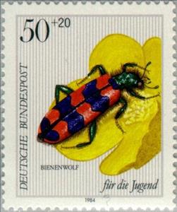 Stamp, Bee Beetle (Trichodes apiarius), Popcorn Plant (Ranunculus r, Germany, Federal Republic,  , Insects, Children, Animals (Fauna)