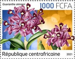Stamp, Guarianthe skinneri, Central African Republic,  , Orchids