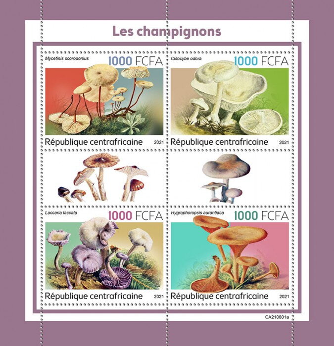 Mushrooms