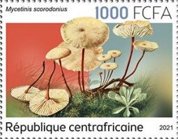 Stamp, Mycetinis scorodonius, Central African Republic,  , Mushrooms