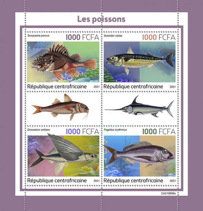 Pagellus erythrinus