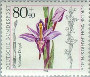 Stamp, Limodorum abortivum, Germany, Federal Republic,  , Flowers, Orchids, Plants (Flora)