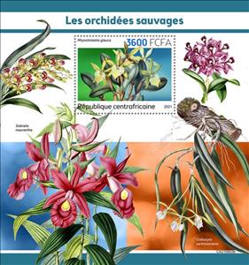 Souvenir Sheet, Rhyncholaelia glauca, Central African Republic,  , Orchids