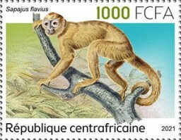 Stamp, Sapajus flavius, Central African Republic,  , Animals (Fauna), Mammals, Monkeys