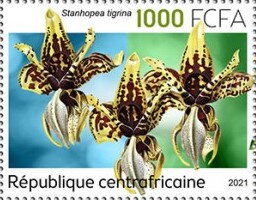 Stanhopea tigrina