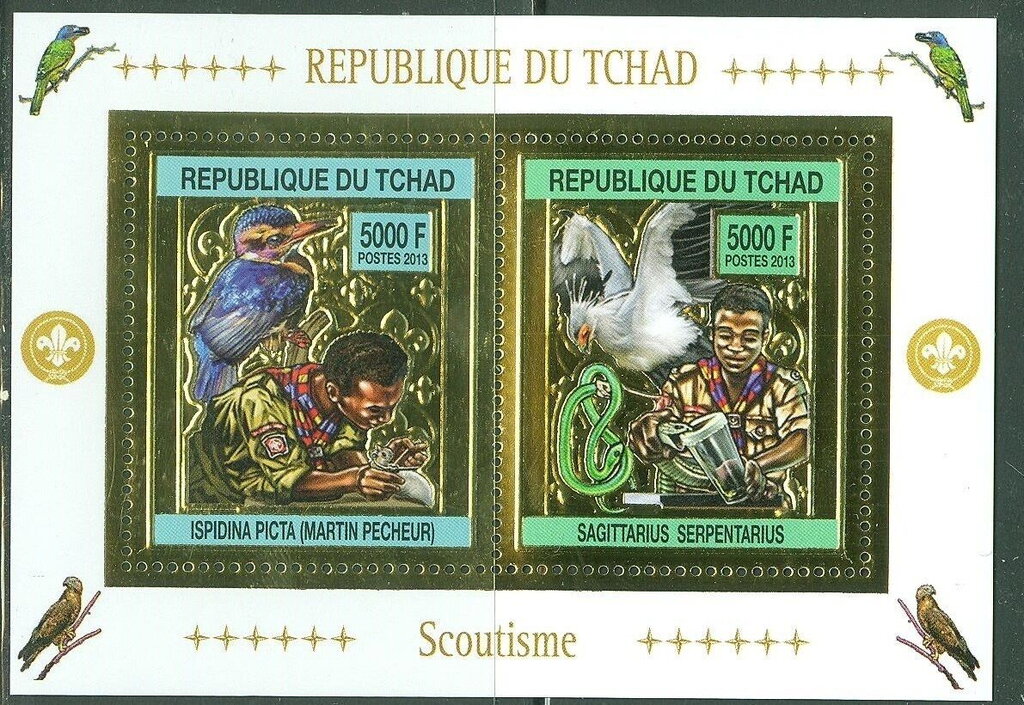 Scouts and Birds