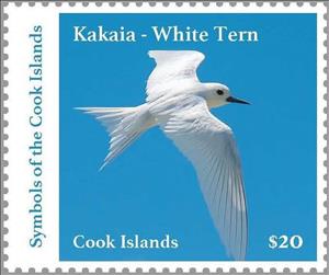 Stamp, White Tern (Gygis alba), Cook Islands,  , Birds