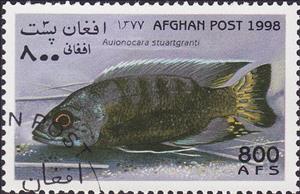 Stamp, (Aulonocara stuartgranti), Afghanistan,  , Animals (Fauna), Fishes