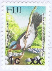 Blue-crested Flycatcher (Myiagra azureocapilla)