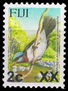 Blue-crested Flycatcher (Myiagra azureocapilla)