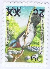 Blue-crested Flycatcher (Myiagra azureocapilla)