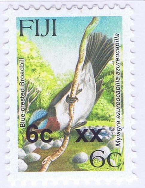 Blue-crested Flycatcher (Myiagra azureocapilla)