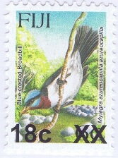 Blue-crested Flycatcher (Myiagra azureocapilla)