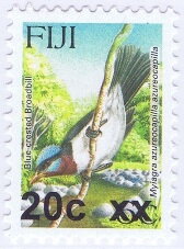 Blue-crested Flycatcher (Myiagra azureocapilla)