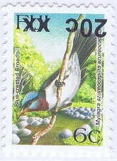 Blue-crested Flycatcher (Myiagra azureocapilla)