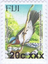 Blue-crested Flycatcher (Myiagra azureocapilla)