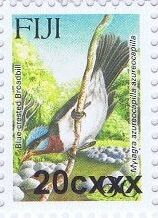 Blue-crested Flycatcher (Myiagra azureocapilla)
