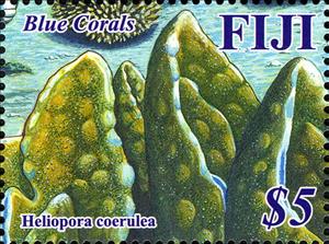 Stamp, Heliopora coerulea, Fiji,  , Corals and Sponges, Sea Life