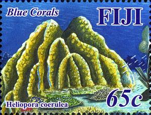 Stamp, Heliopora coerulea, Fiji,  , Corals and Sponges, Sea Life