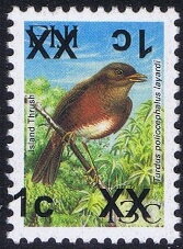 Island Thrush (Turdus poliocephalus layardi)