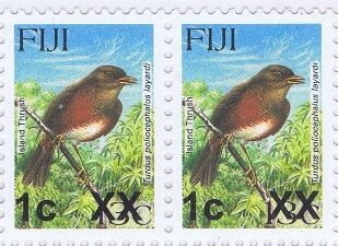 Island Thrush (Turdus poliocephalus layardi)