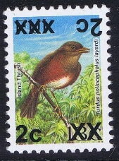 Island Thrush (Turdus poliocephalus layardi)