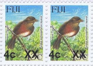 Island Thrush (Turdus poliocephalus layardi)