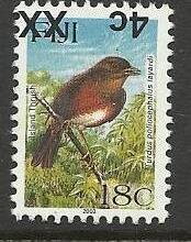 Island Thrush (Turdus poliocephalus layardi)