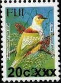Many-coloured Fruit Dove (Ptilinopus perousii mariae)