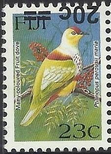 Many-coloured Fruit Dove (Ptilinopus perousii mariae)