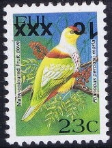 Many-coloured Fruit Dove (Ptilinopus perousii mariae)