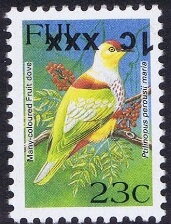 Many-coloured Fruit Dove (Ptilinopus perousii mariae)