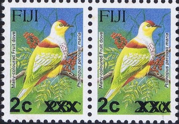Many-coloured Fruit Dove (Ptilinopus perousii mariae)