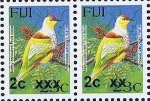 Many-coloured Fruit Dove (Ptilinopus perousii mariae)