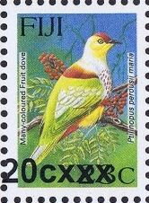 Many-coloured Fruit Dove (Ptilinopus perousii mariae)