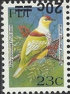 Many-coloured Fruit Dove (Ptilinopus perousii mariae)