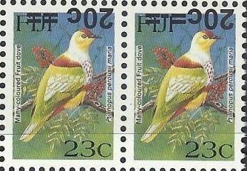 Many-coloured Fruit Dove (Ptilinopus perousii mariae)
