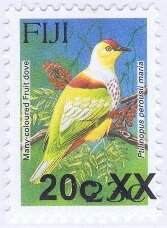 Many-coloured Fruit Dove (Ptilinopus perousii mariae)