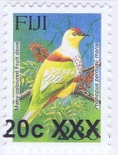 Many-coloured Fruit Dove (Ptilinopus perousii mariae)