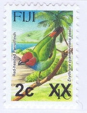 Red-headed Parrotfinch (Erythrura cyaneovirens pealii)
